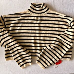 Cider Striped High Neck Cropped Sweater